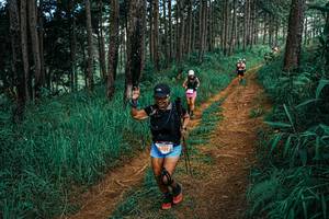 BIB: 
                            <button type="button" onclick="openModal(25753648)" class="btn btn-primary btn-sm float-right btn-popup" data-toggle="modal" data-target=".modal-high-quality">
                        <i class="fas fa-shopping-cart"></i> Add to Cart
                    </button>
                                            <button type="button" onclick="isThisMe(25753648, true)" class="btn btn-success btn-sm float-right btn-popup btn-isme hidden" data-toggle="tooltip" data-placement="bottom" title="นี่คือรูปของคุณใช่ไหม คลิกที่นี่เพื่อเอาเข้าอัลบั้ม">
                        <i class="fas fa-plus"></i> Add to album
                    </button>
                    <button type="button" onclick="isThisMe(25753648, false)" class="btn btn-warning btn-sm float-right btn-popup btn-isnotme hidden">
                        <i class="fas fa-ban"></i> Remove from album
                    </button>